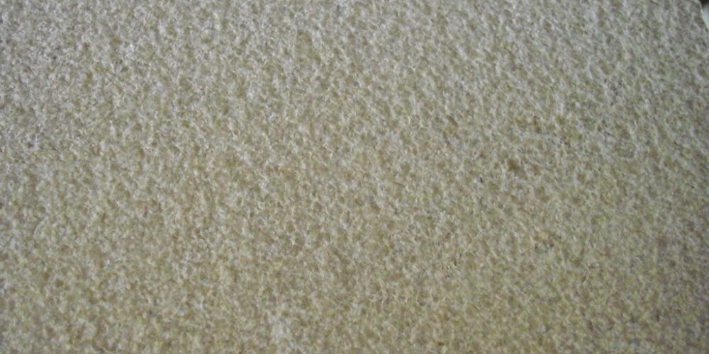 Sinai Pearl Bushamer (15)