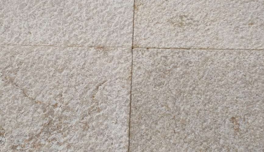 Sunny menia bushamer& brushed