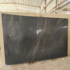 WhatsApp Image 2024-02-25 at 3.35.54 PM (2)