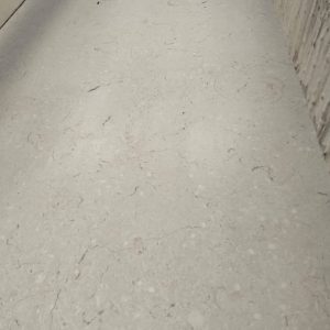 WhatsApp Image 2024-02-25 at 3.41.14 PM