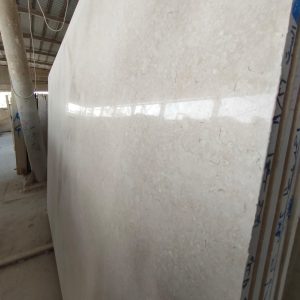 WhatsApp Image 2024-02-25 at 3.41.15 PM