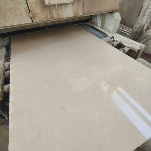 WhatsApp Image 2024-02-25 at 3.41.16 PM (2)